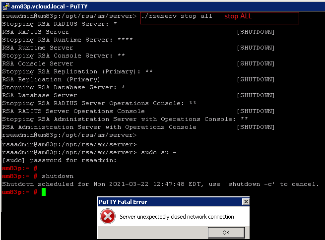 rsaser_stop_all_shutdown