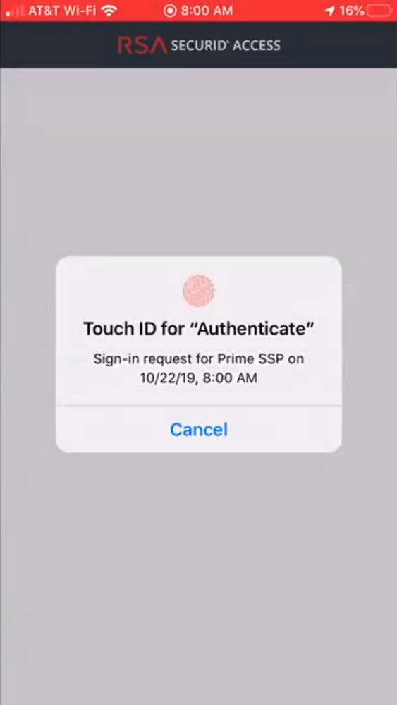 SSP MFA Biometric Auth.png